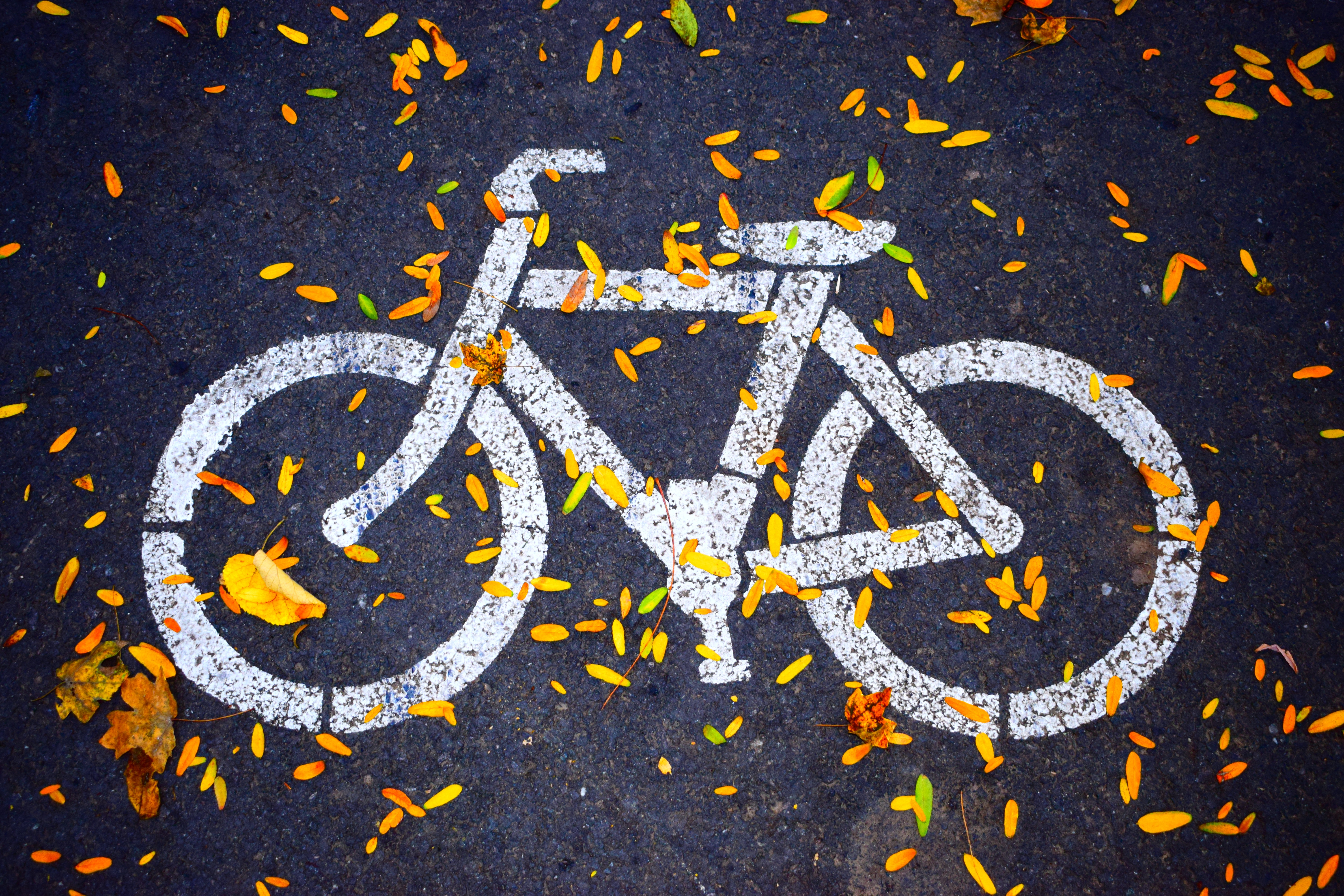 November Thankfulness #1: Ability to Bike to Work